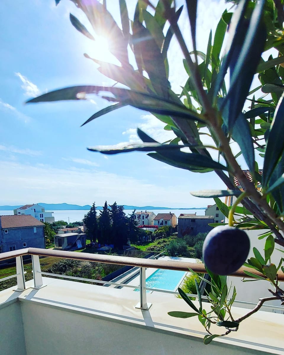 View (from property/room)