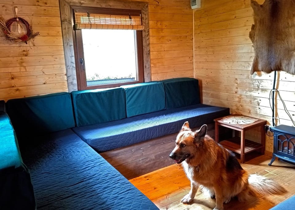 View (from property/room), Living room