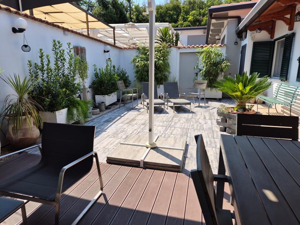 Property building, Patio, Day, Garden, View (from property/room), Garden view