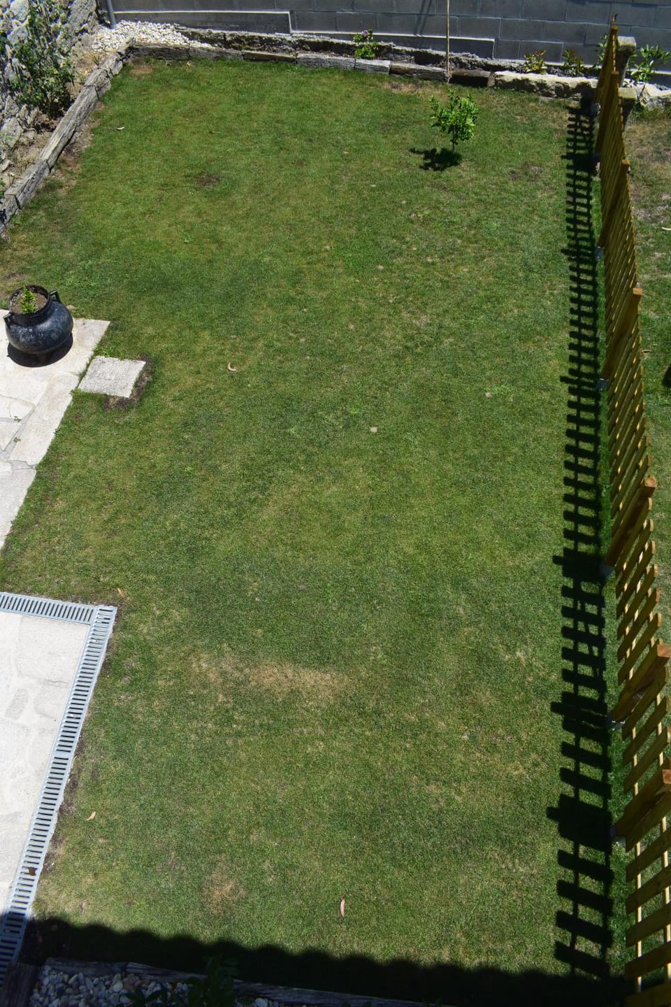 Bird's eye view, Garden