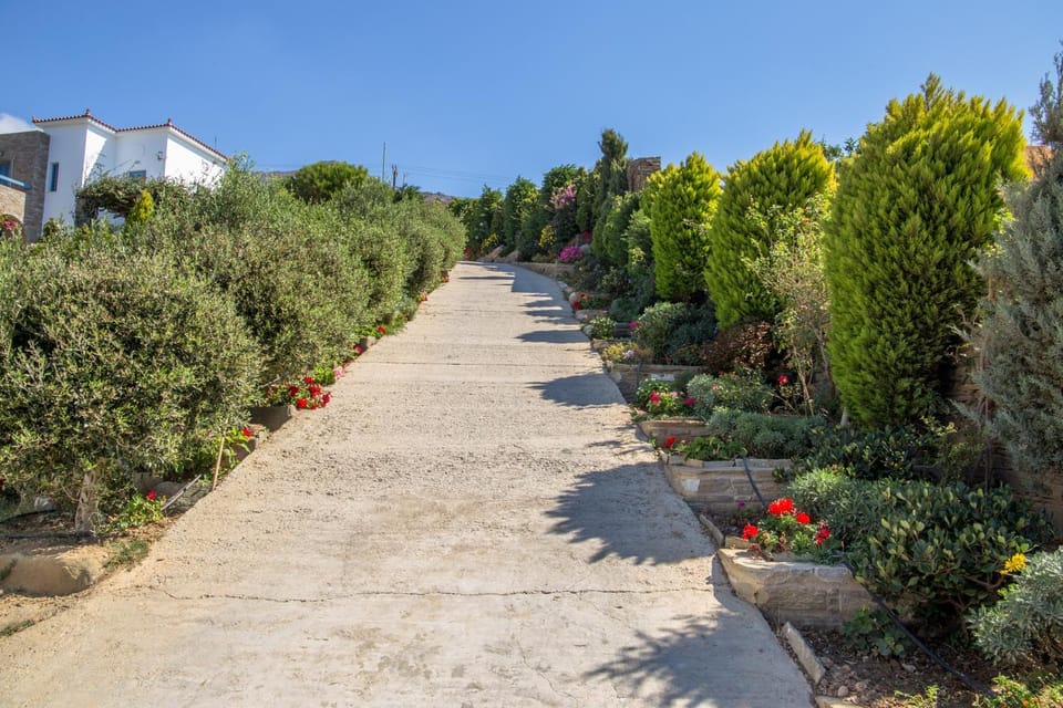 Neighbourhood, Natural landscape, Garden