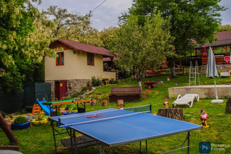 Children play ground, Garden, Garden view