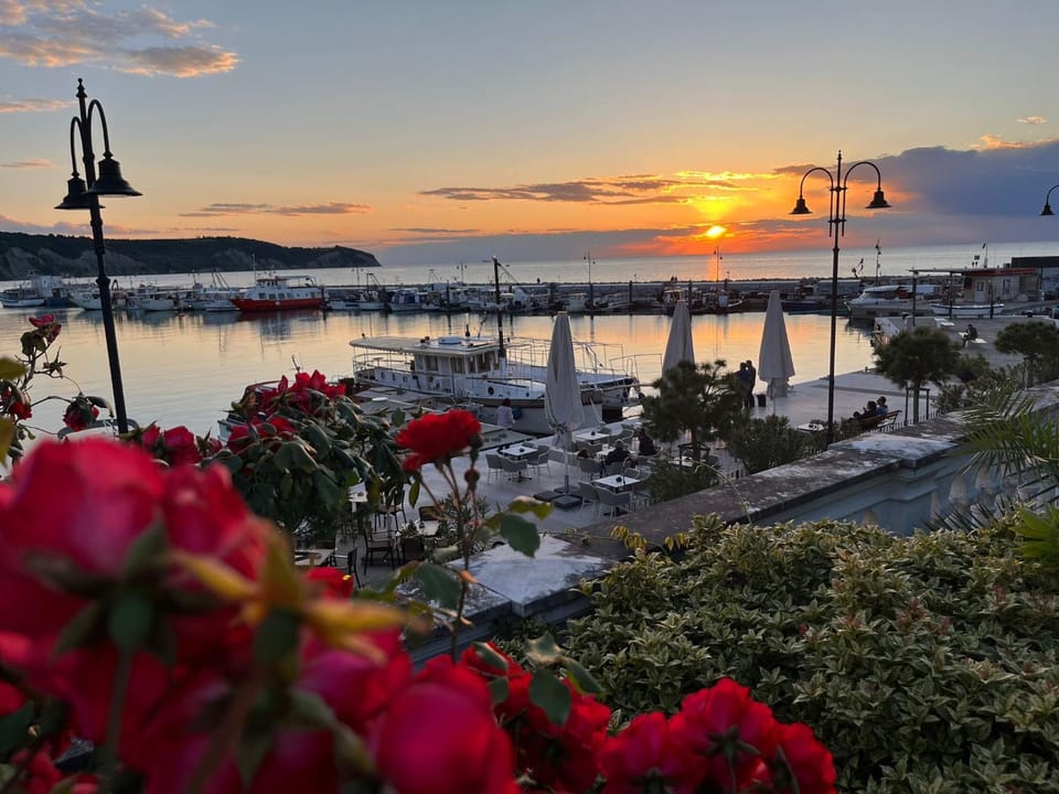 First row to the sea - Maremi Izola Apartment terrace Apartment in Slovenia