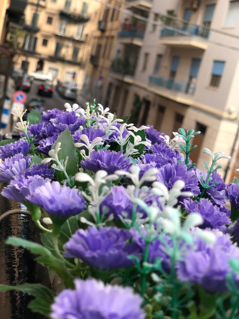 Dal Barce Rooms Bed and Breakfast in Palermo