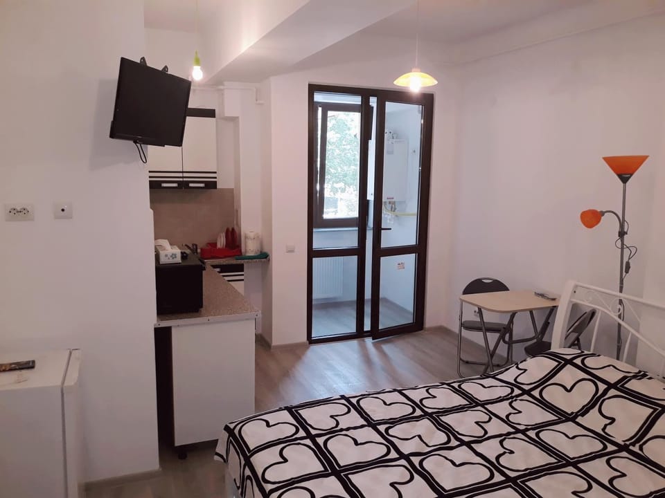 Palas Studios Apartment in Moldova