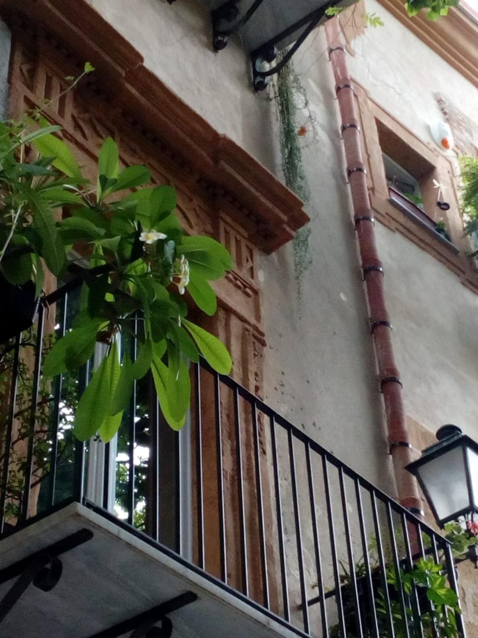 Property building, Balcony/Terrace, Street view