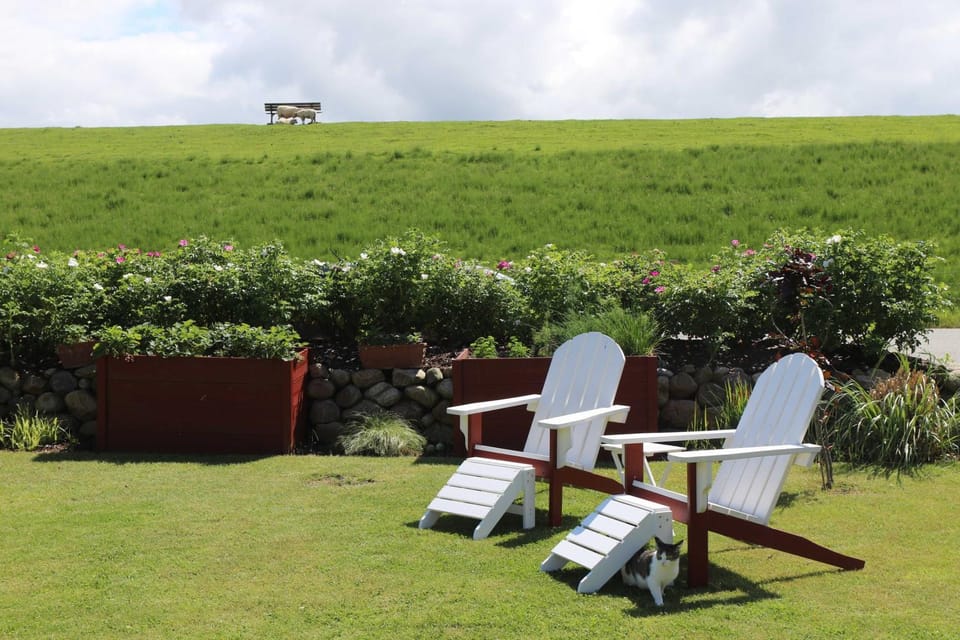 Property building, Day, Natural landscape, Garden, Garden view, sunbed