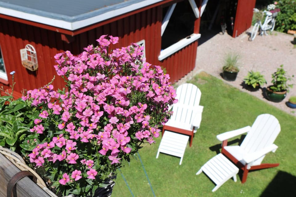 Property building, Day, Garden, Garden view, sunbed