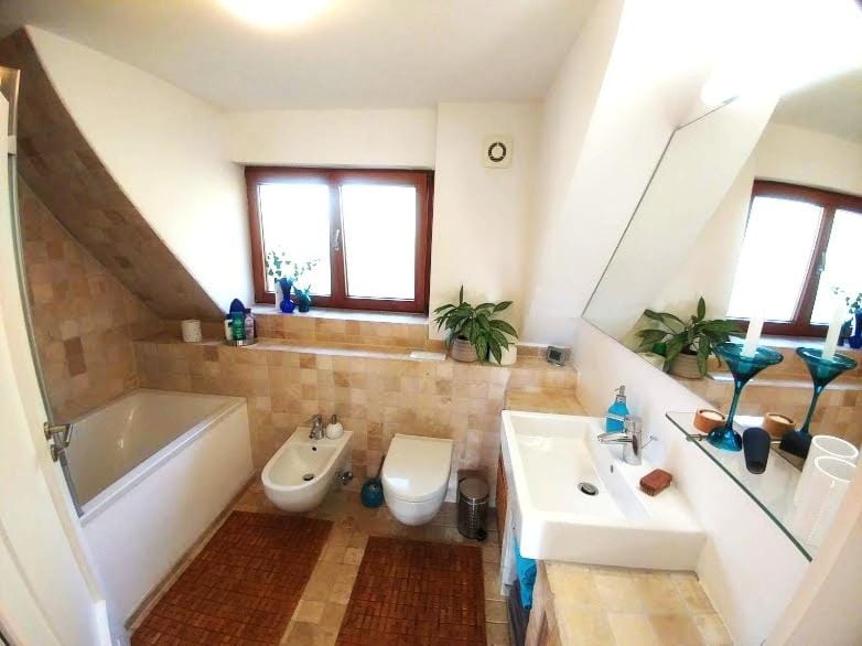 Toilet, Bathroom, bidet