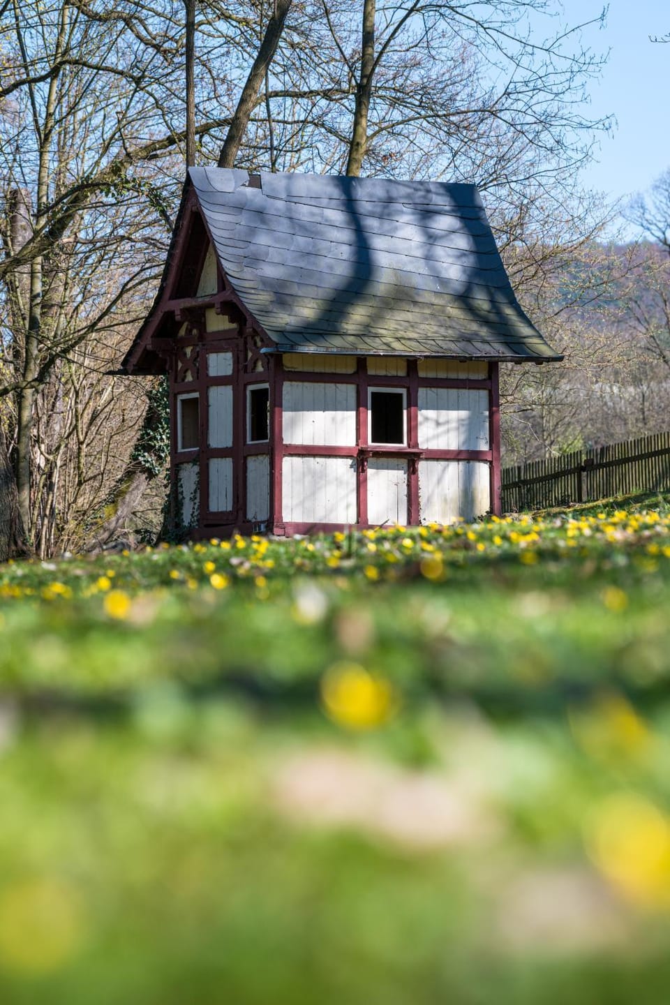 People, Natural landscape, View (from property/room), pet friendly