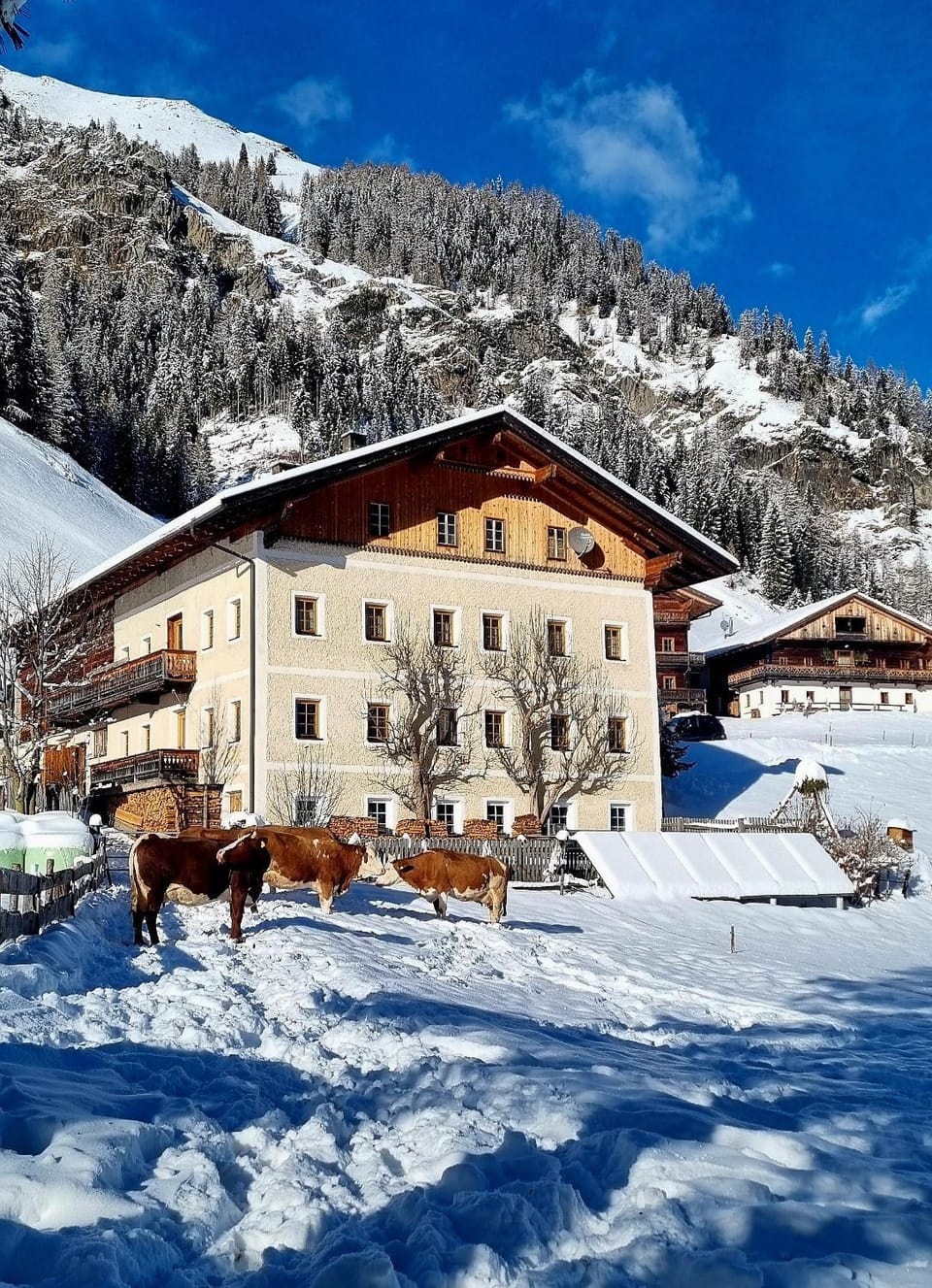 Property building, Winter