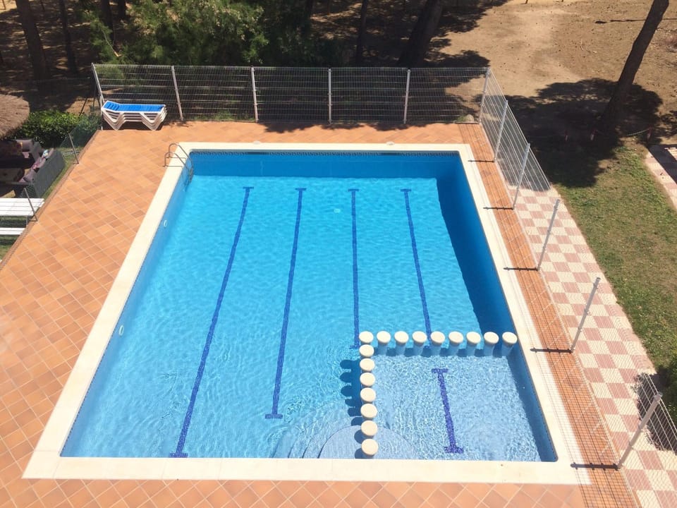 Swimming pool, Swimming pool