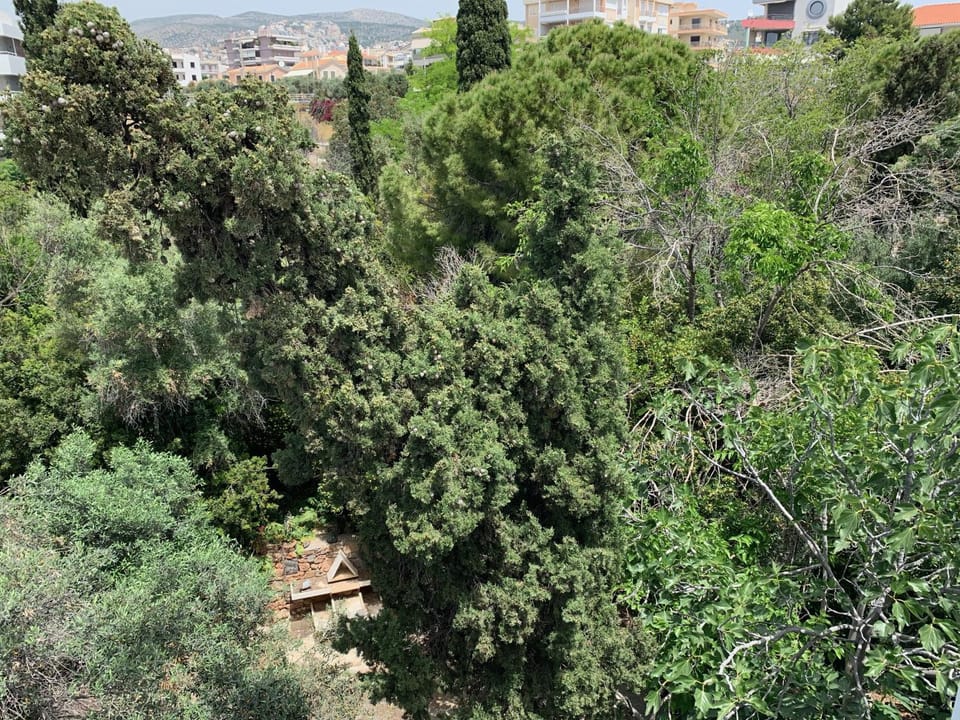 Natural landscape, Garden view