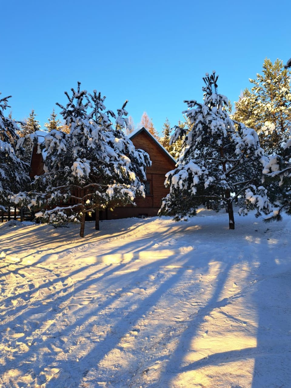 Natural landscape, Winter