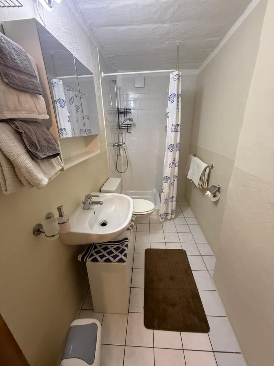 Shower, Toilet, towels