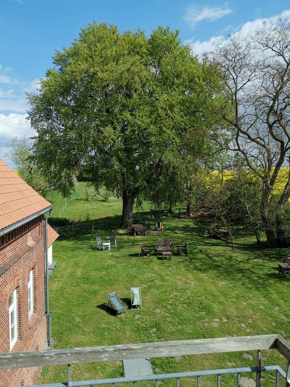 Garden view