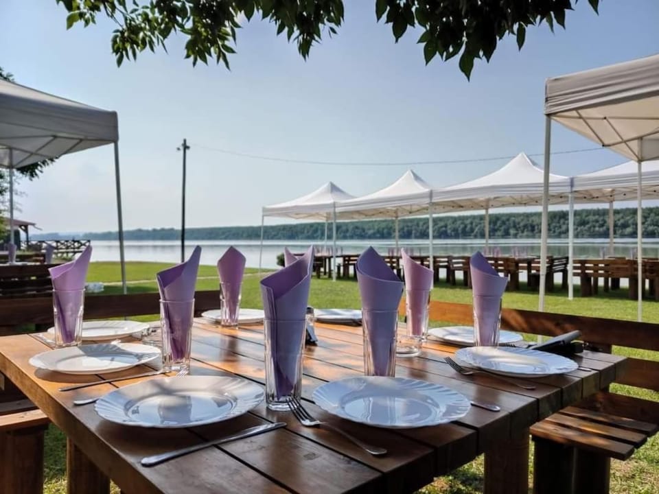 Natural landscape, Dining area, Food