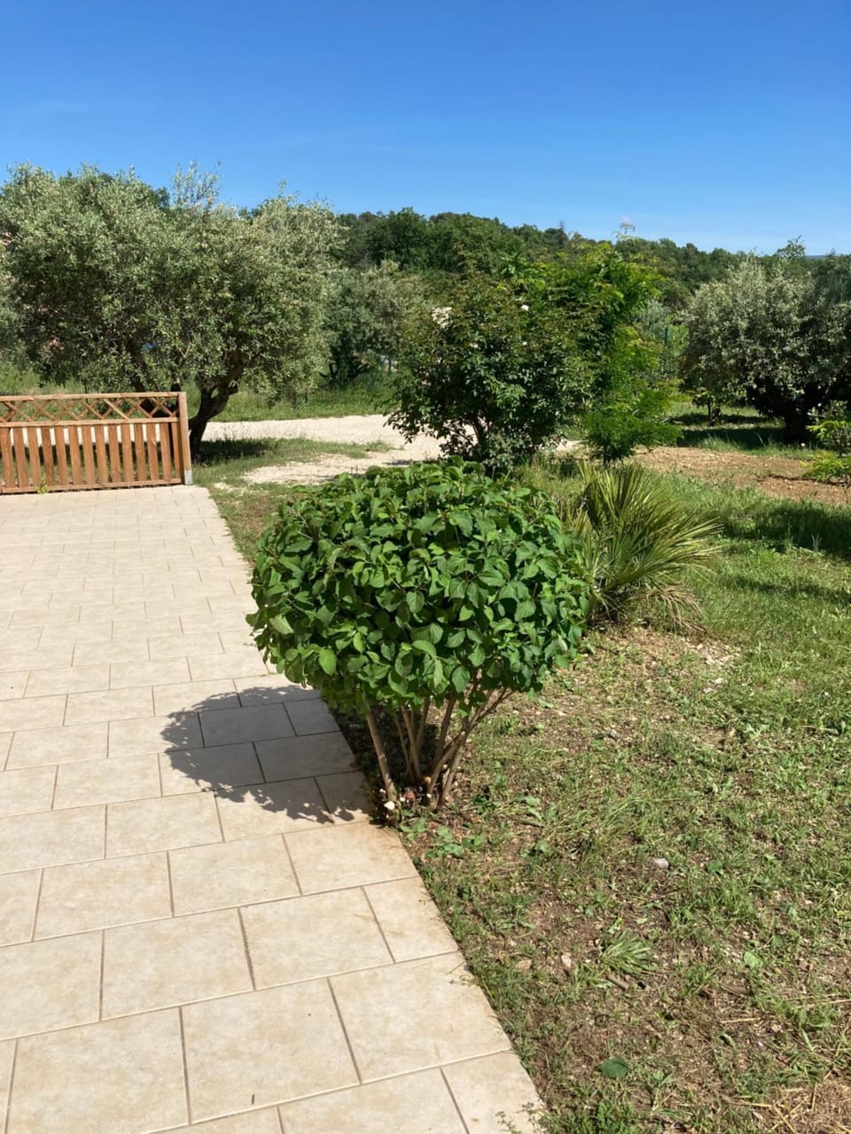 La Bastide de l'Olivier Villa in Flassan