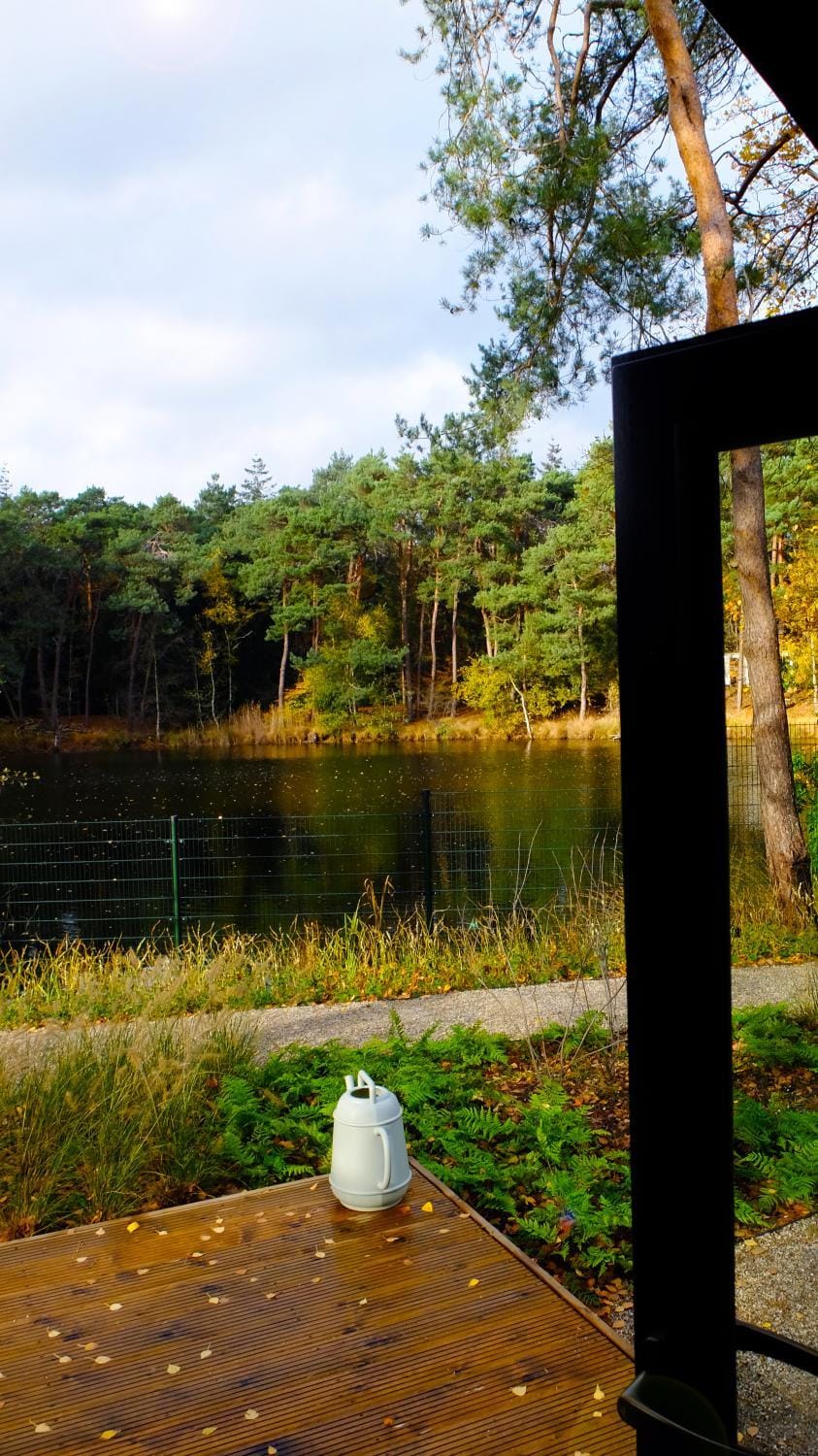 Landmark view