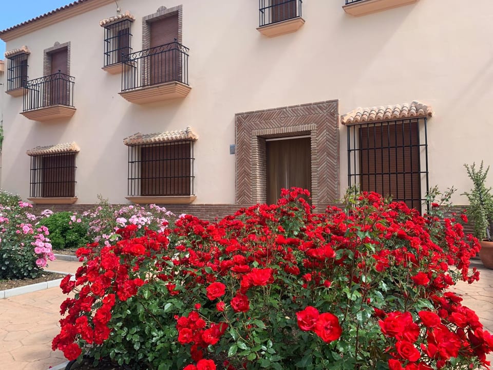 Property building, Patio, Facade/entrance, Garden