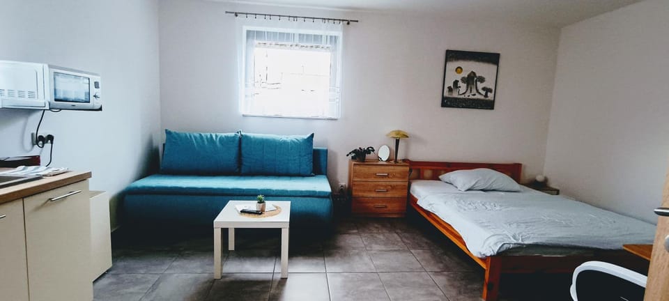 Do zahrady Apartment in Saxony