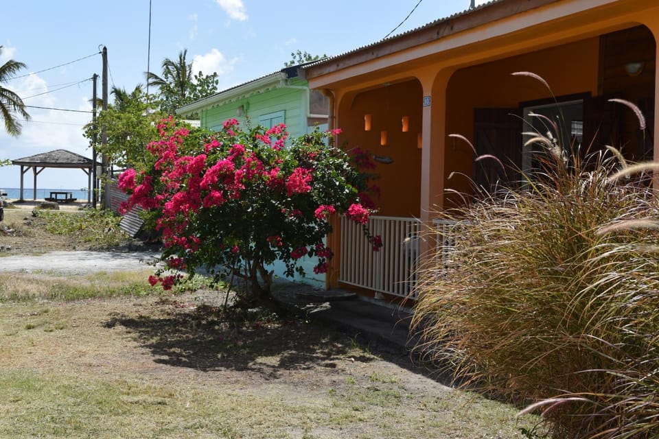 Property building, Natural landscape
