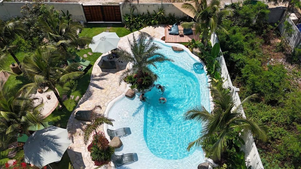 Natural landscape, Bird's eye view, Garden, Garden view, Pool view, Swimming pool, sunbed