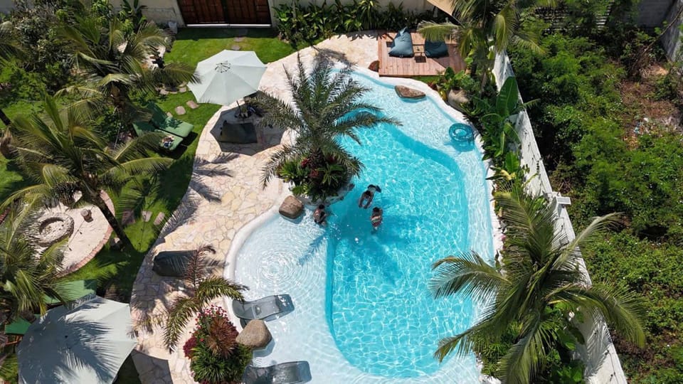 Day, Garden, Garden view, Pool view, Swimming pool, sunbed