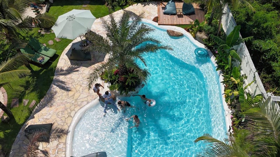 Day, People, Garden, Garden view, Pool view, Swimming pool, group of guests, sunbed