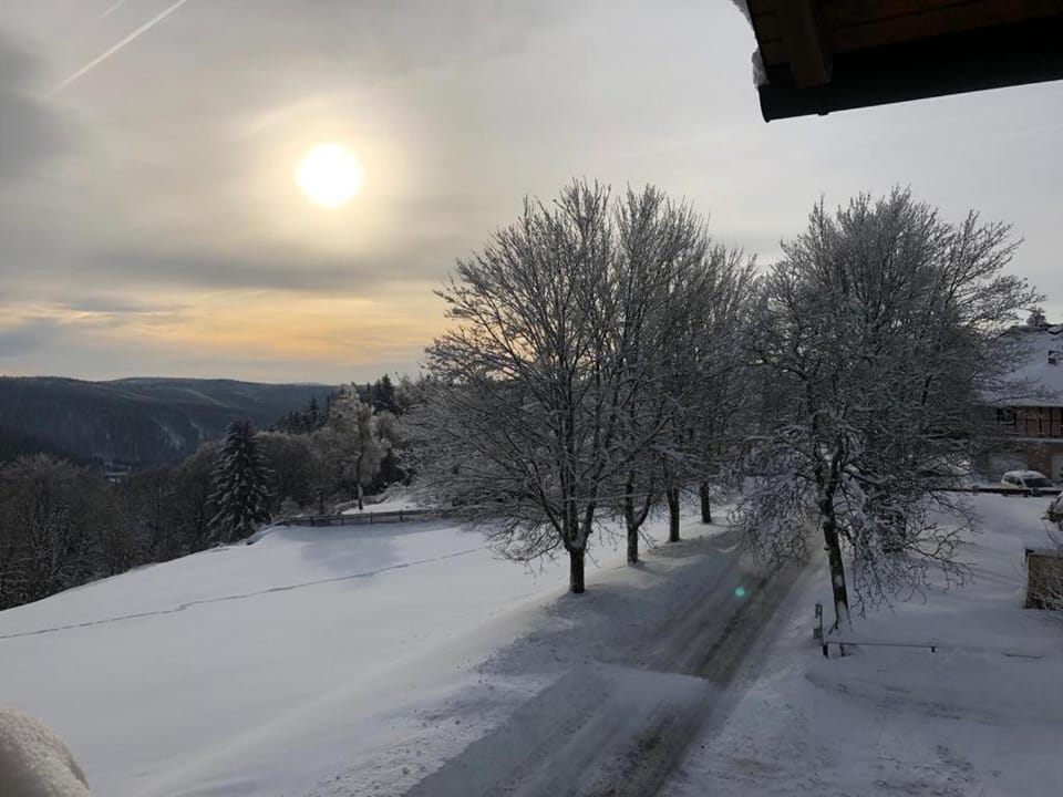View (from property/room), Mountain view