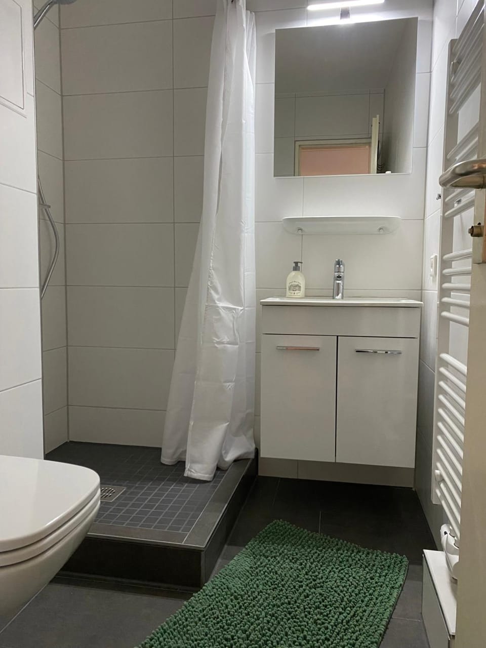 Bathroom, Living room