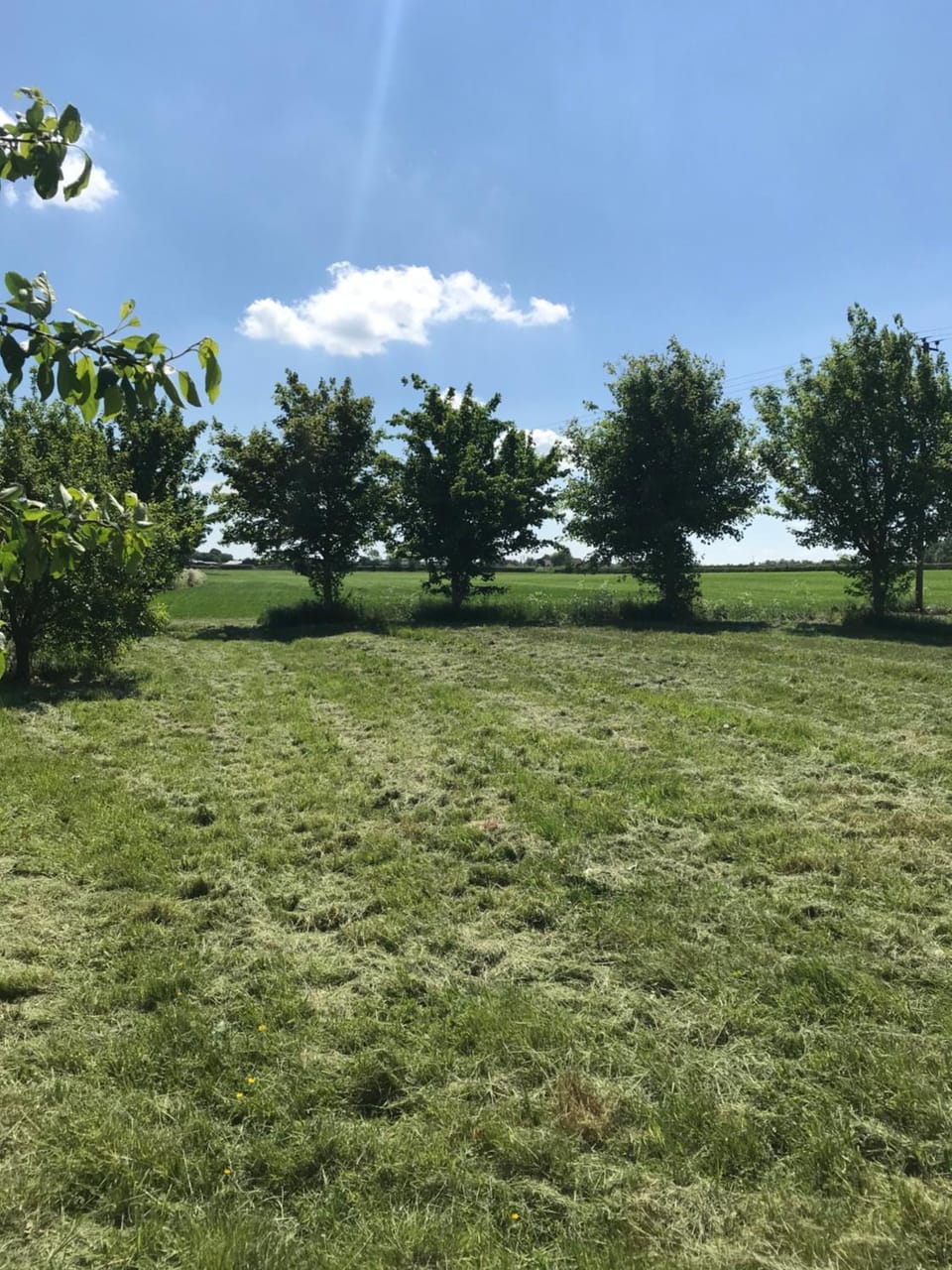 Natural landscape, Garden view
