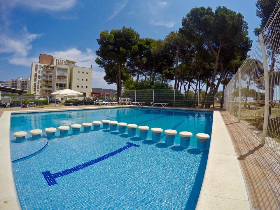 Decorative detail, Pool view, Swimming pool, Swimming pool