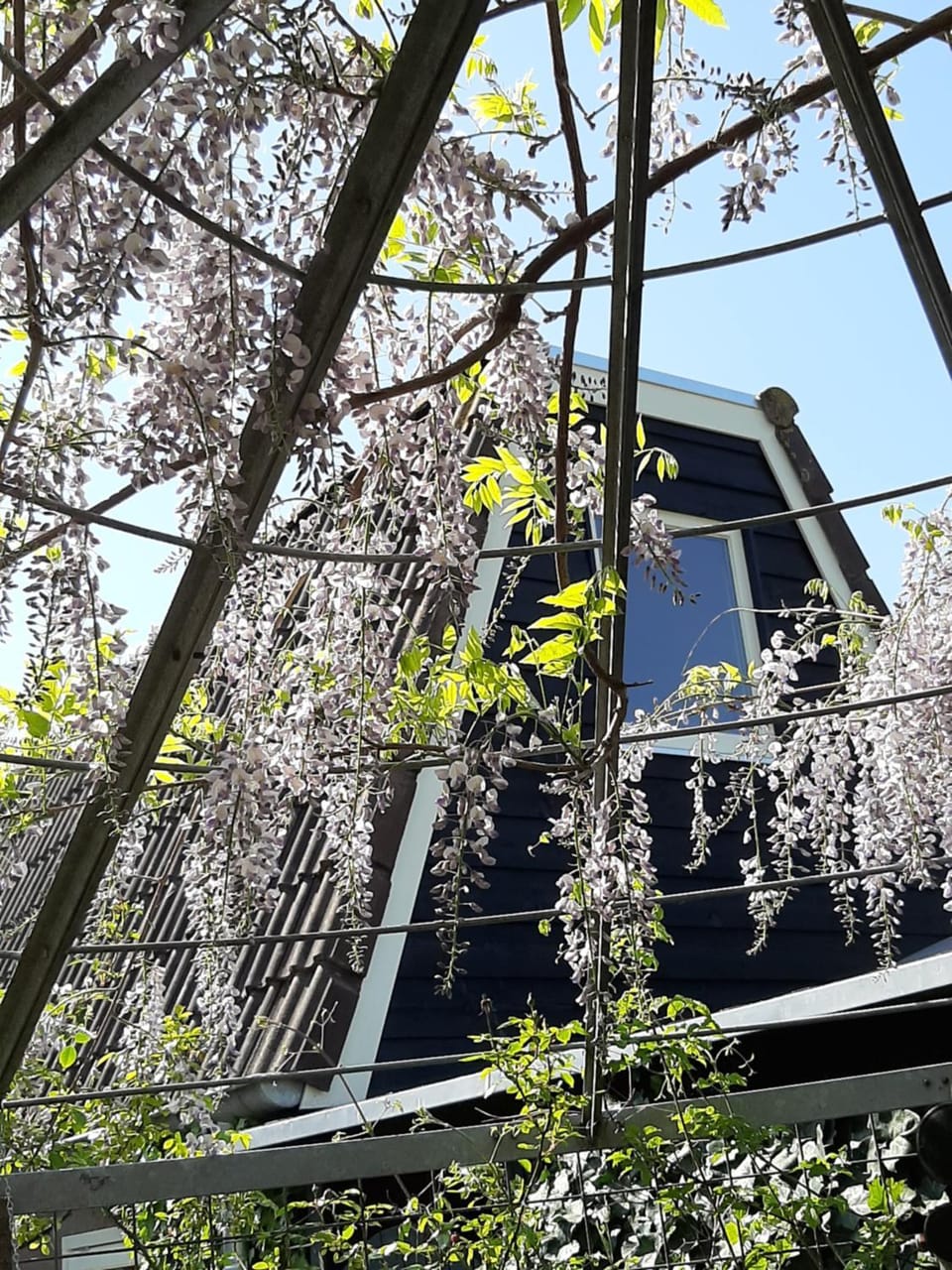 Mahil-Laya Bed and Breakfast in Drenthe (province)