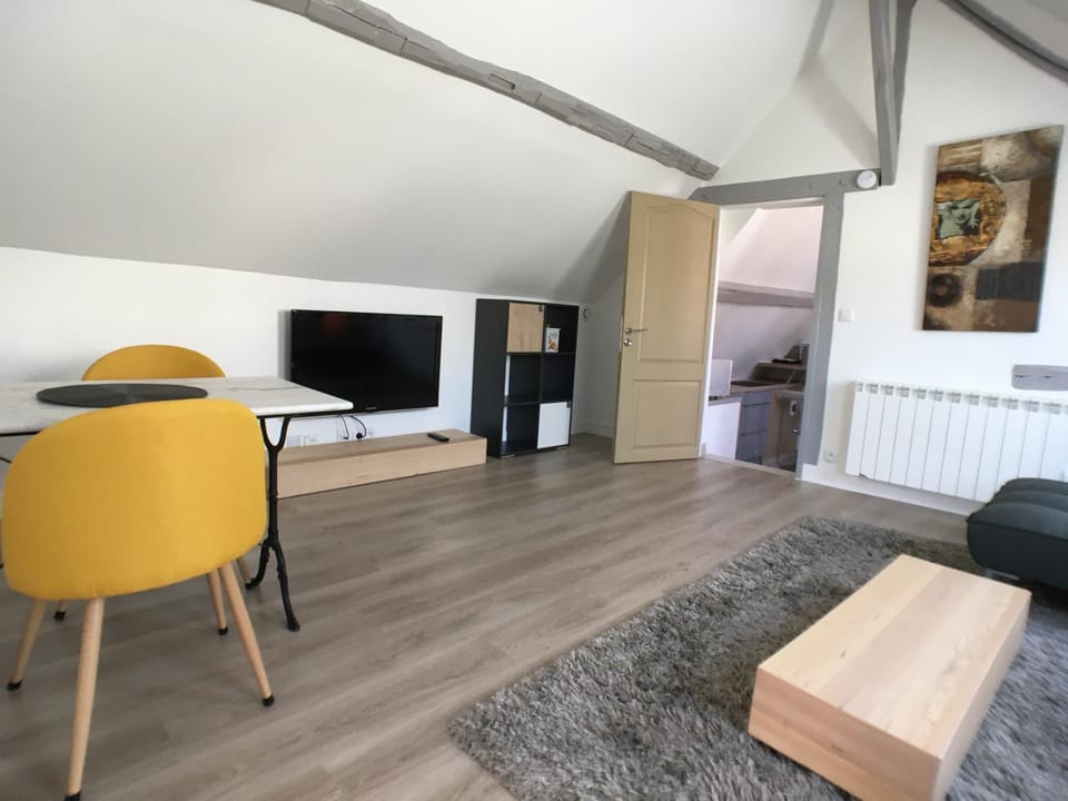 Chartres Coeur de Ville, beau 2 pièces chaleureux et lumineux,Parking et Wifi ! Apartment in Chartres