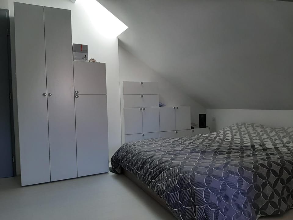 appartcathedrale Apartment in Grand Est