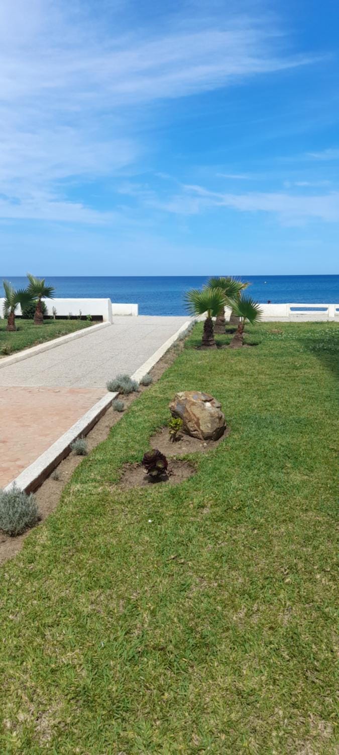 Garden, Beach