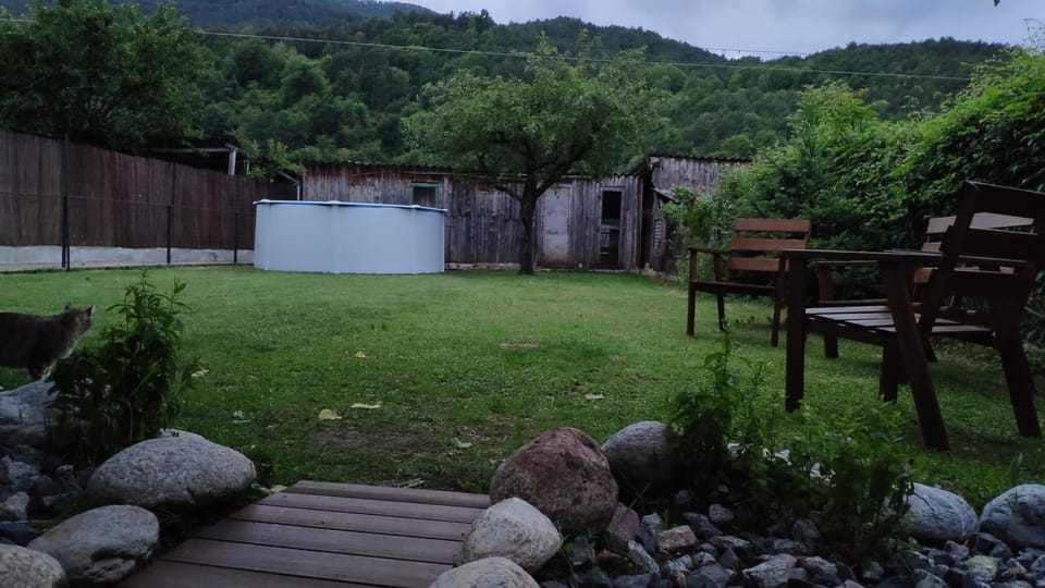 Garden, Swimming pool, Swimming pool