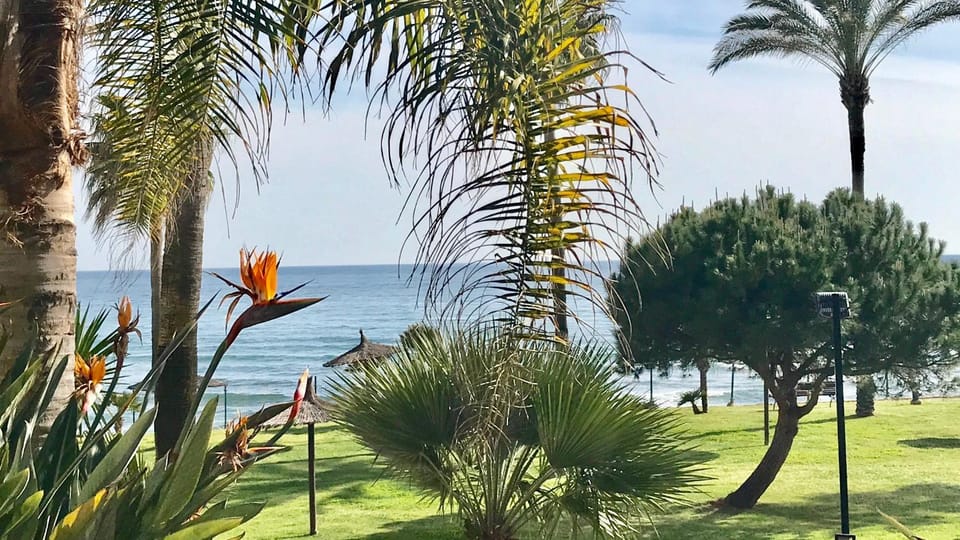 Garden, Sea view