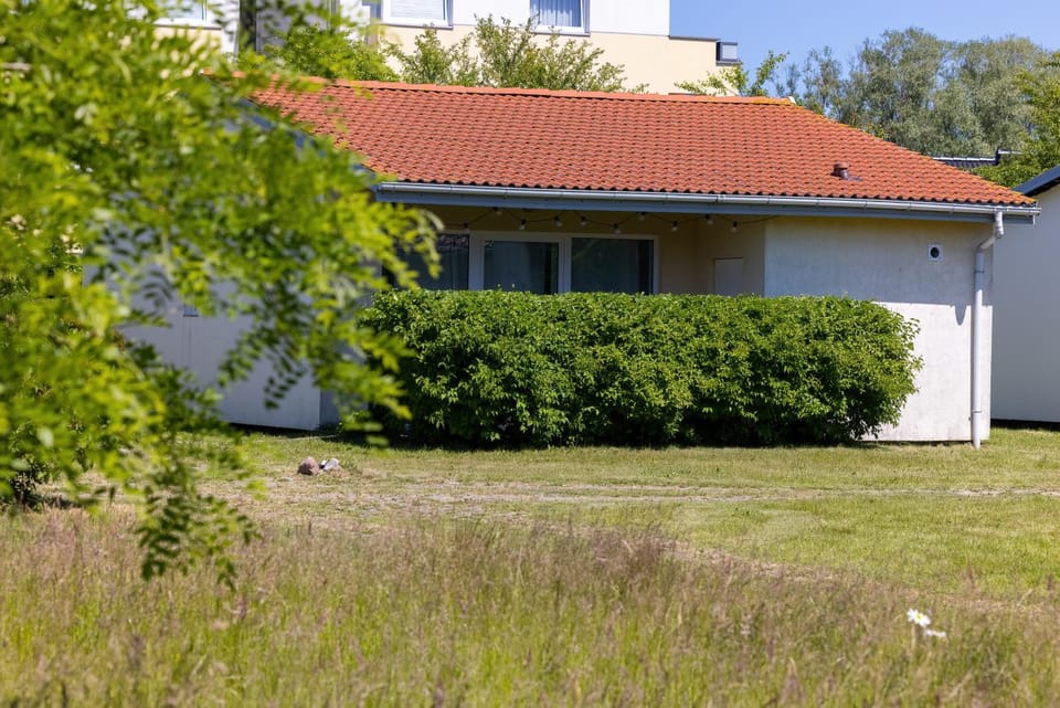 Property building, Day, Garden, Garden view