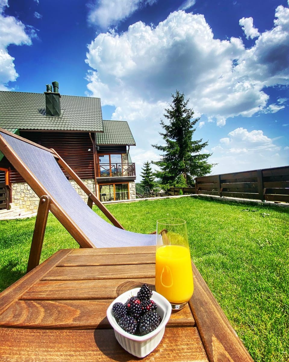 Villa Tara Apartment in Montenegro