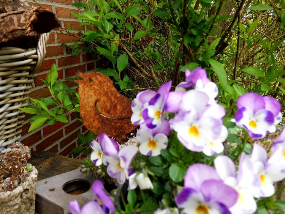 Ferienwohnung Fleur de Lys Urlaub auf Anfrage mit Hund Apartment in Schleswig-Holstein