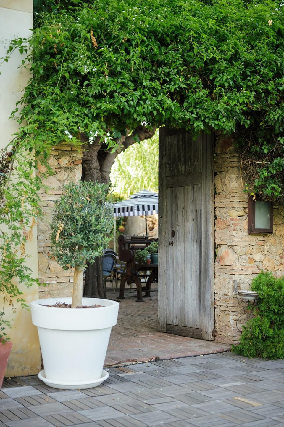 Patio, Garden