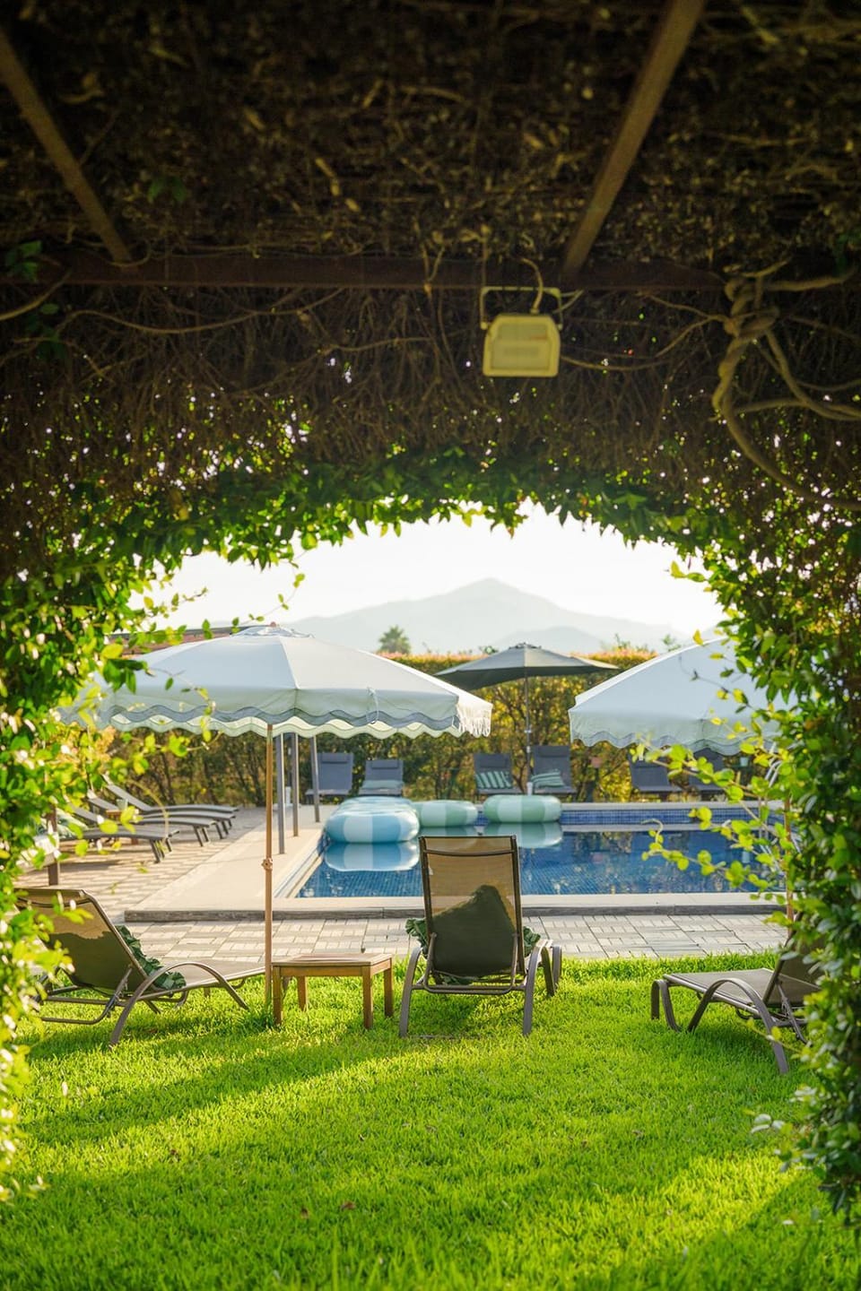 Natural landscape, Garden, Garden view, Pool view, Swimming pool