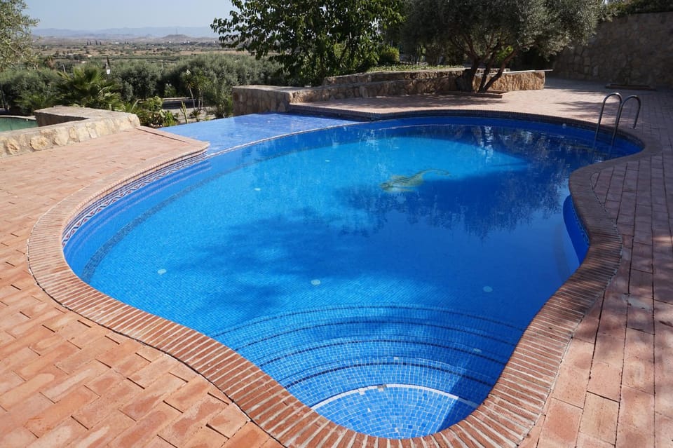 Swimming pool, Swimming pool
