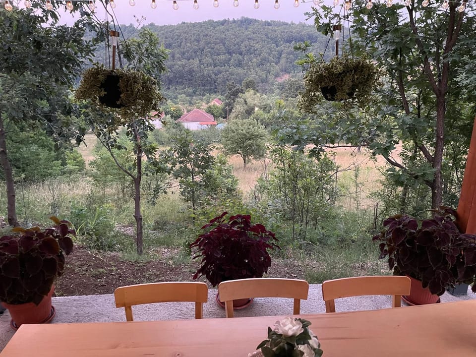 Brvnare Dunja 1 i Dunja 2 House in Serbia