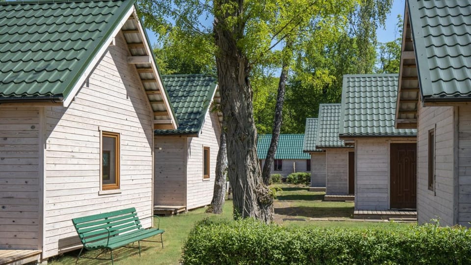 Spring, Day, Natural landscape, Garden, Garden view