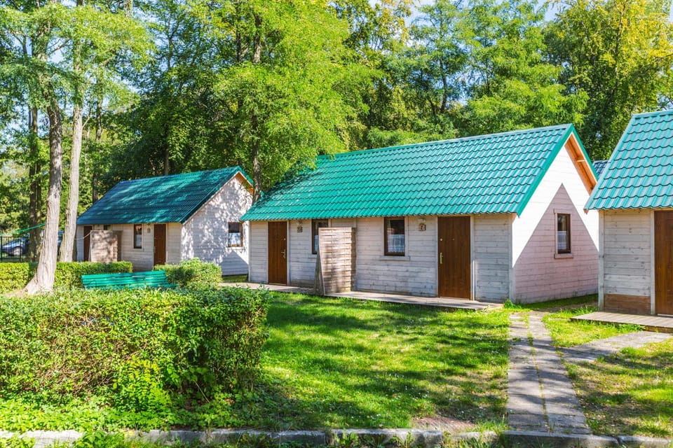 Spring, Day, Natural landscape, Garden, Garden view