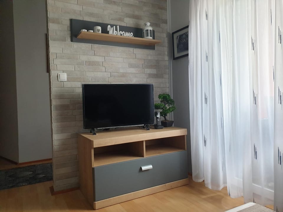 Communal lounge/ TV room, TV and multimedia