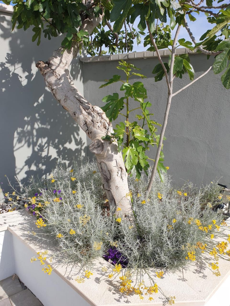 Day, Garden, Garden view